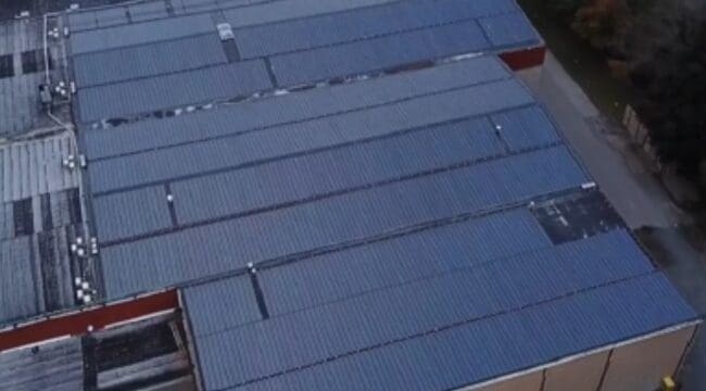 Untitled design - 2025-10-20T132141.092