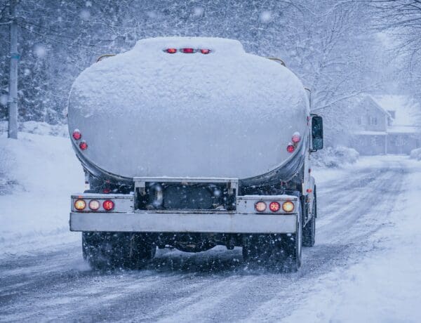 Untitled design - 2026-02-05T160003.046